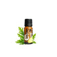 Terra Gaia Organic Citronella Essential Oil