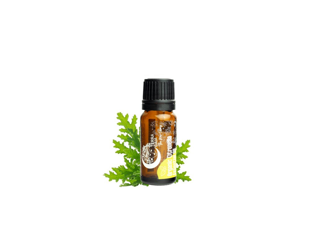 Terra Gaia Organic Citronella Essential Oil