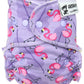 CLEARANCE Anavy Onesize Fitted Nappy - Snaps