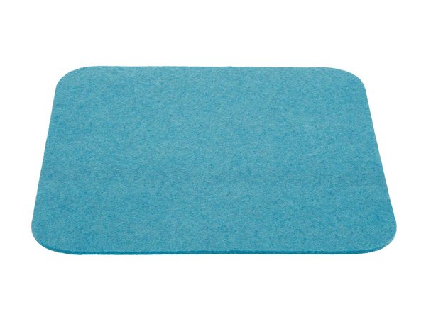 Disana Felt Seat Pad