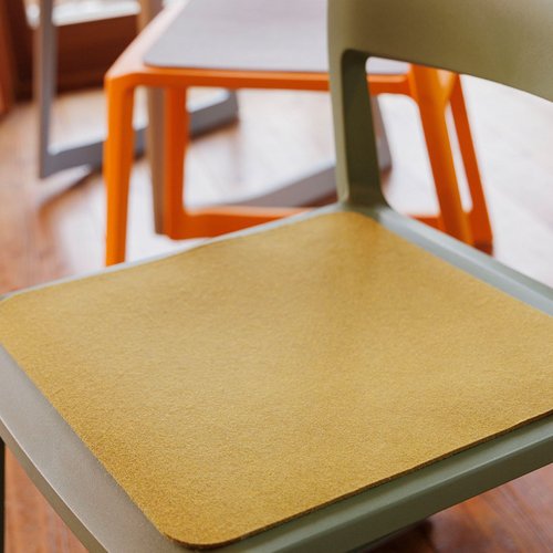 Disana Felt Seat Pad